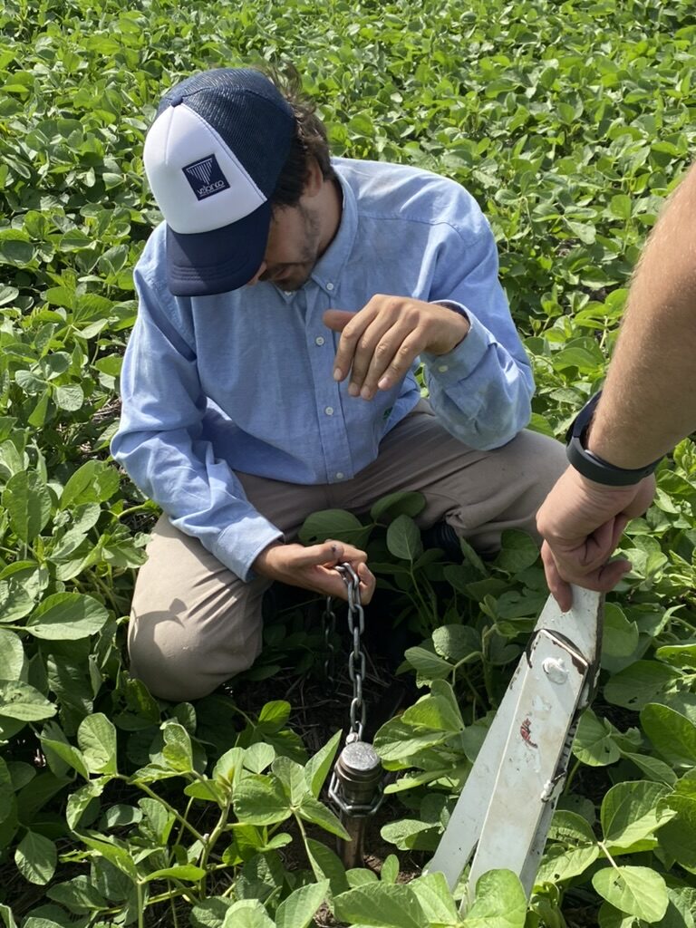 Relevamiento de cobertura vegetal a campo